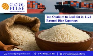 This blog tells about top qualities to look for in 1121 Basmati Rice Exporters